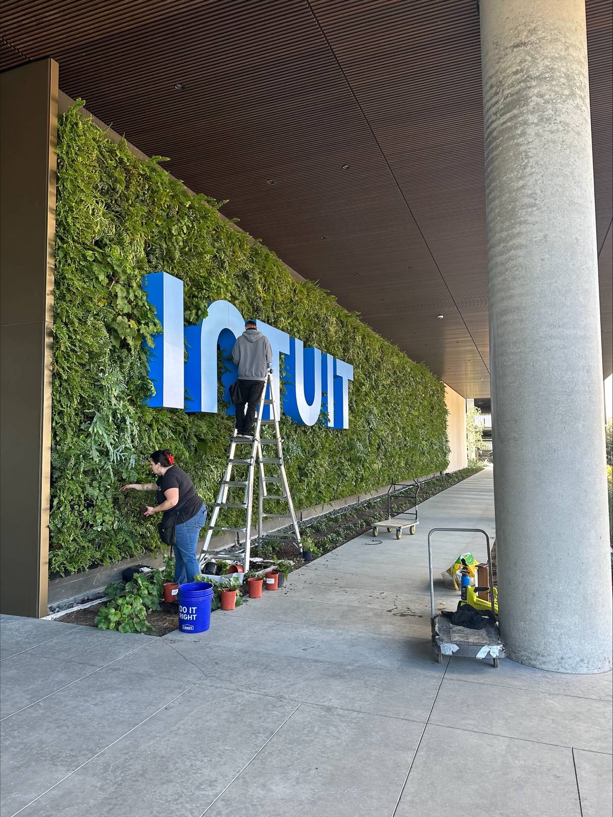 A group of employees tends to a large wall filled with greenery that says Intuit