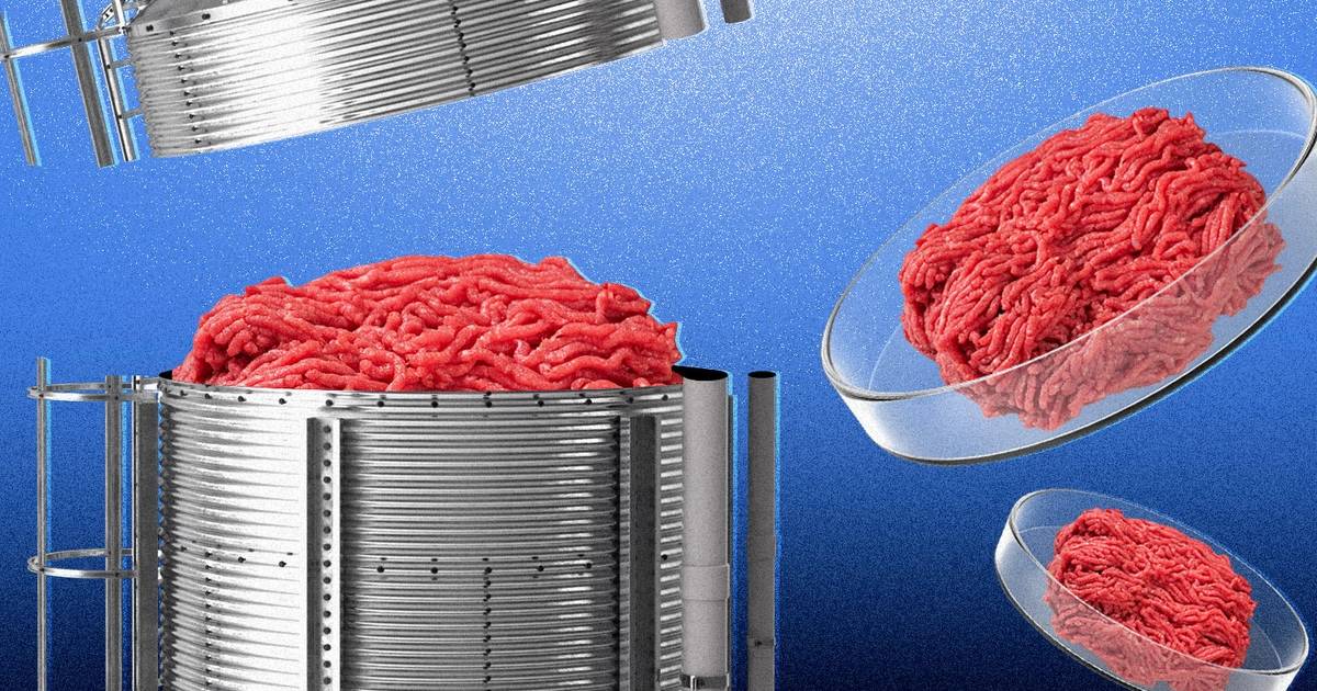 Fda Approves First Lab Grown Meat From Upside Foods
