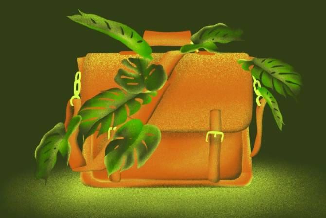 Briefcase with green leaves growing out of it