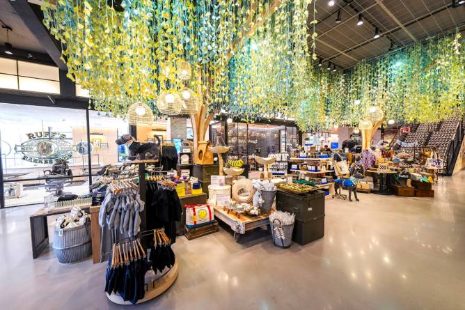 An interior shot of Petco's New York flagship shows some of the store's tree sculptures. 