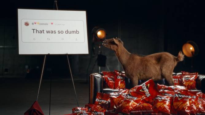 Goat on pile of Doritos next to a poster diplaying a tweet reading "That was so dumb" 