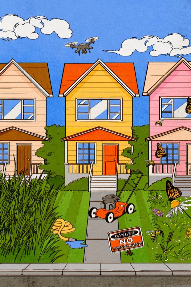 A house with a lawn in front of it