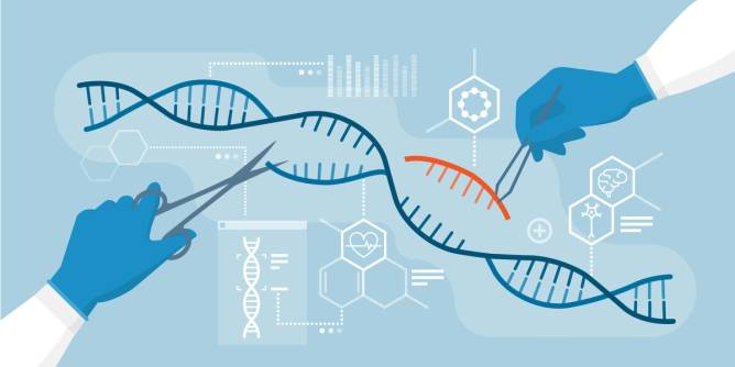 crispr illustration
