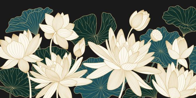 illustration of lotus flowers