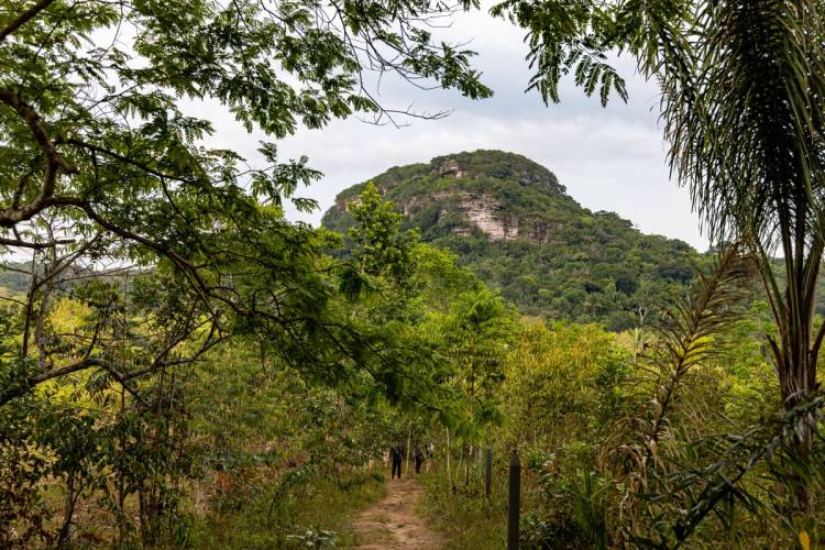 Chiribiquete Amazon rainforest in Colombia