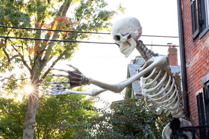 Giant skeleton decoration