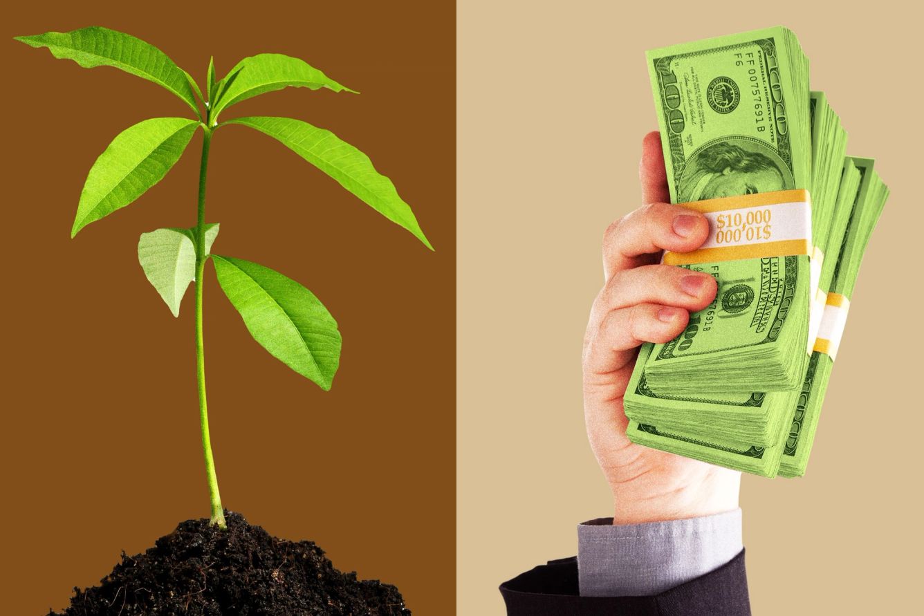 CFO sustainability