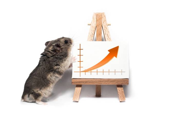 A hamster stands next to a chart bearing an upward arrow