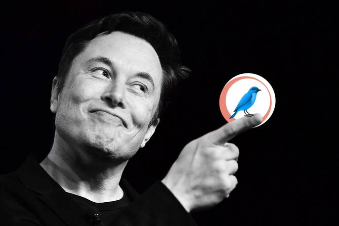 Elon Musk pointing with a bird on his finger