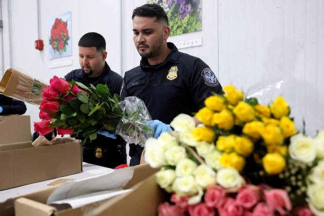 U.S. Customs and Border Protection Agriculture Specialists inspect flowers at Miami International Airport