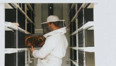  Beewise has $118 million in funding and a plan to save the bees