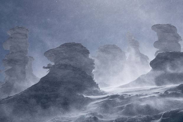 Snow-covered trees in Japan