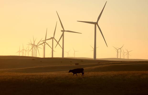 A wind farm in California