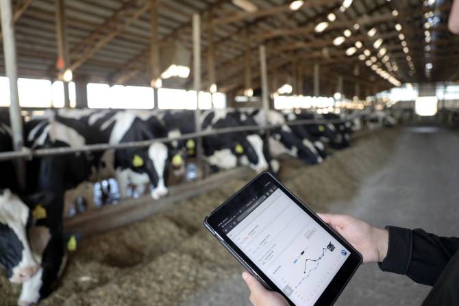 Man holding iPad displaying dairy supply chain stats