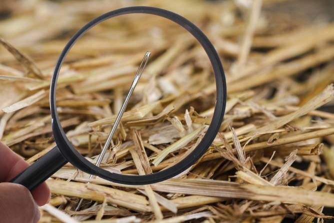 needle in a haystack