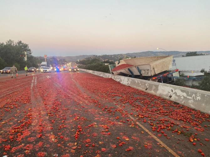 Tomatoes strewn across a California highway