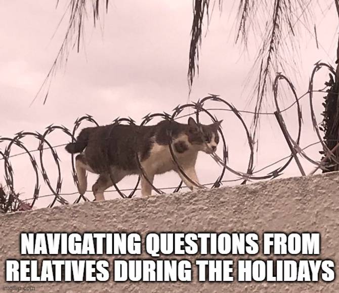 Meme contest winner. A cat is trying to snake through a line of barbed wire with the caption "Navigating questions from relatives during the holidays"