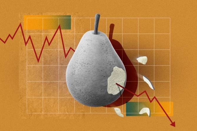 A graphic of a pear with a line chart showing a downward trajectory.