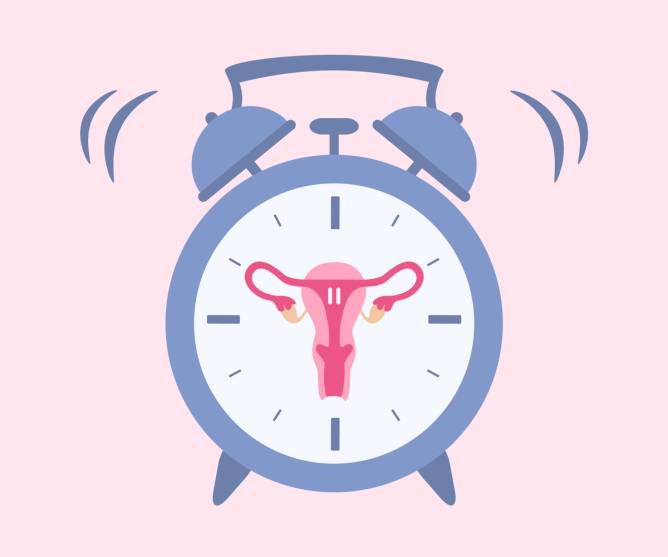 Ringing alarm clock with a uterus in the middle