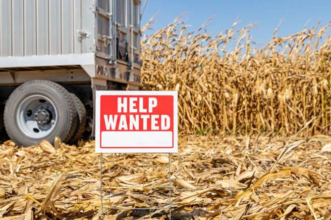 A "help wanted" sign in a field.