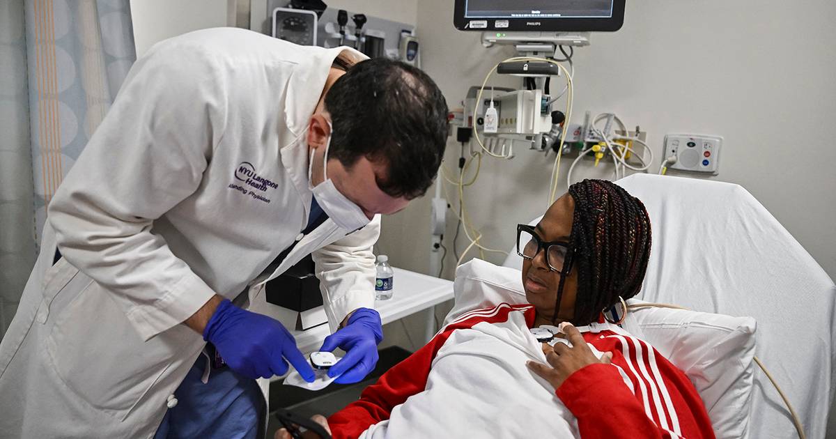 Pig kidney pioneers talk next steps, first-ever clinical trials at Orlando conference Pig kidney pioneers talk next steps, first-ever clinical trials at Orlando conference