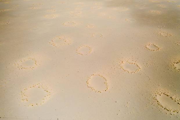 An overhead look of the mystical fairy circles , Namib-Naukluft Park, Namibia.