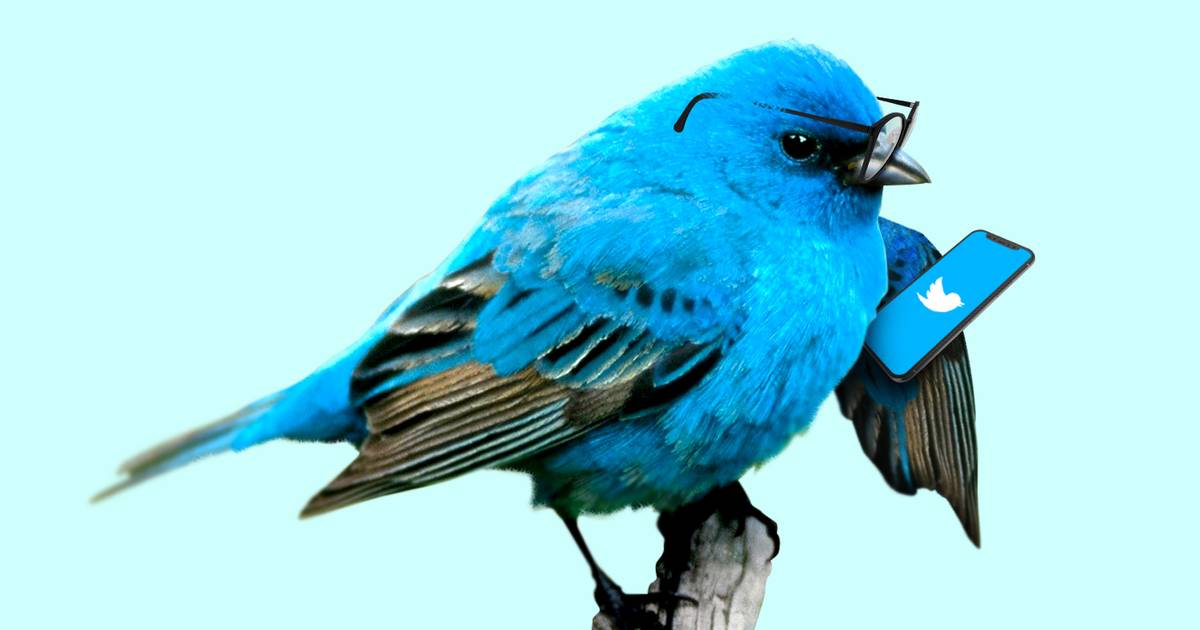 20 Finance Twitter Accounts to Follow