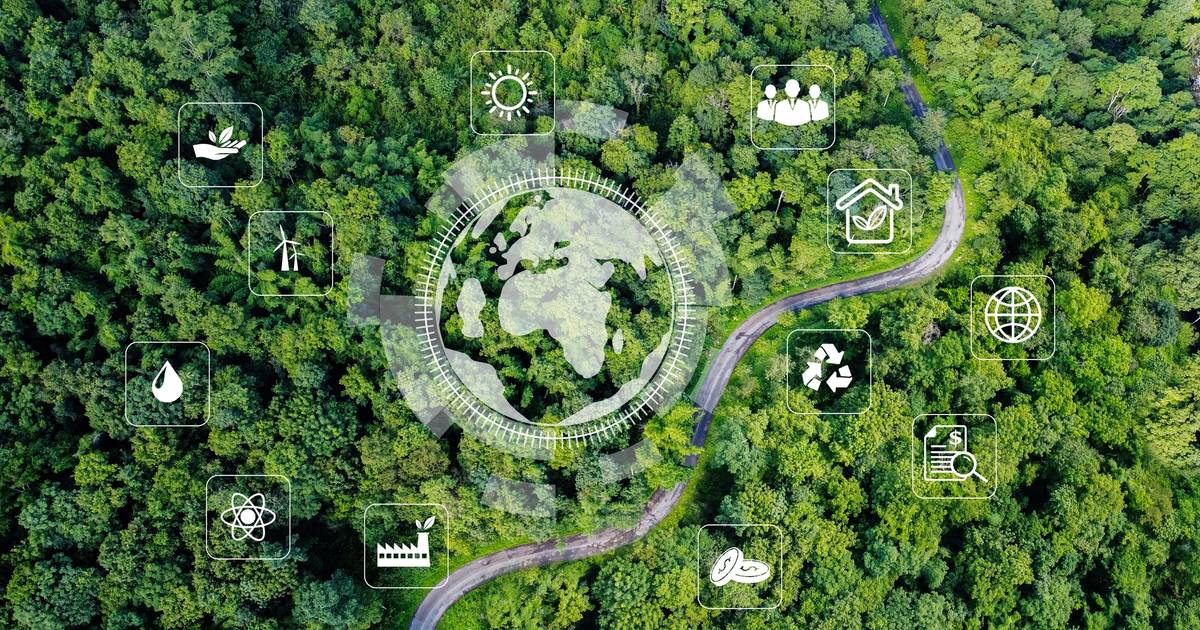 Renewables met rise in global energy demand for first time ever, Ember report shows – Tech Brew