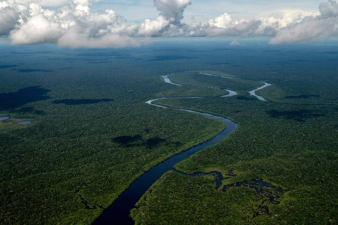 Overhead view of the Amazon rainforest