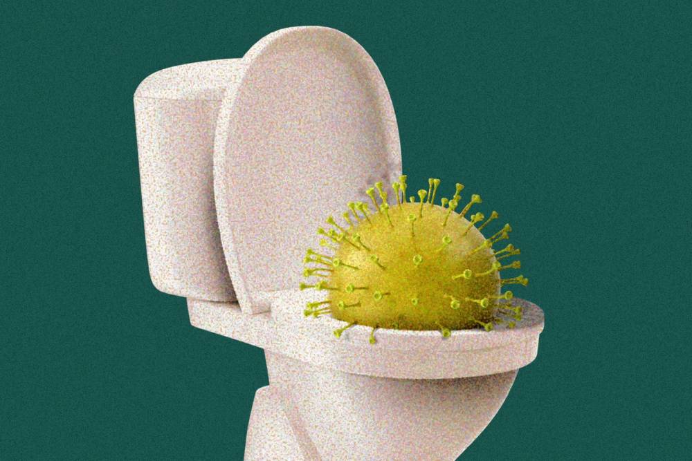 Covid virus in toilet