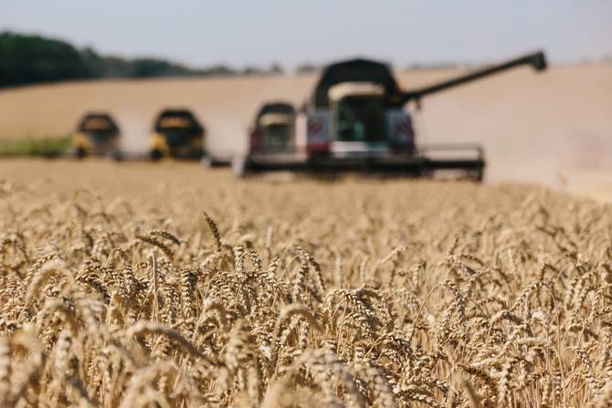 Harvesting combines in the fields of Novovodolazhsky district of Kharkiv region, Ukraine.