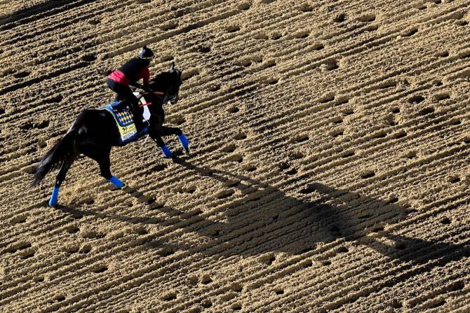 Horse running at Churchill Downs