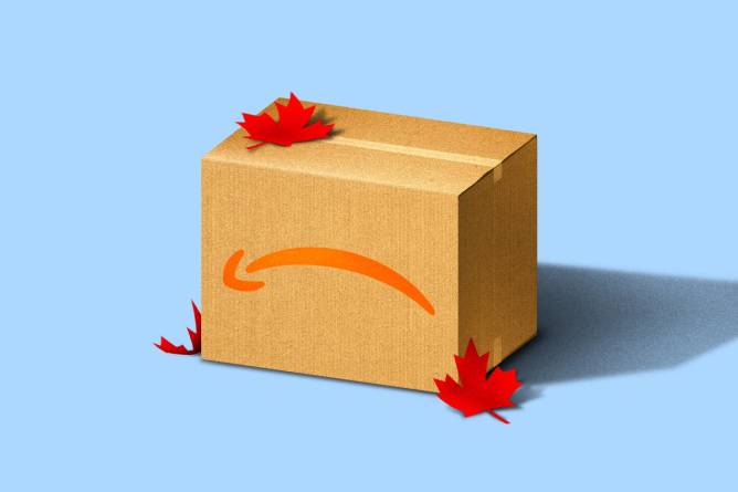 an illustration of an upside down Amazon box with maple leaves on it