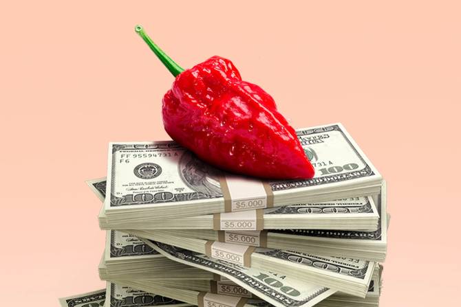 An illustration of a stack of $100 bill wads in front of a peachy background. A red ghost pepper is sitting on top of the money stack. 