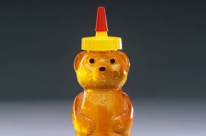 A photograph of a honey bear dsi