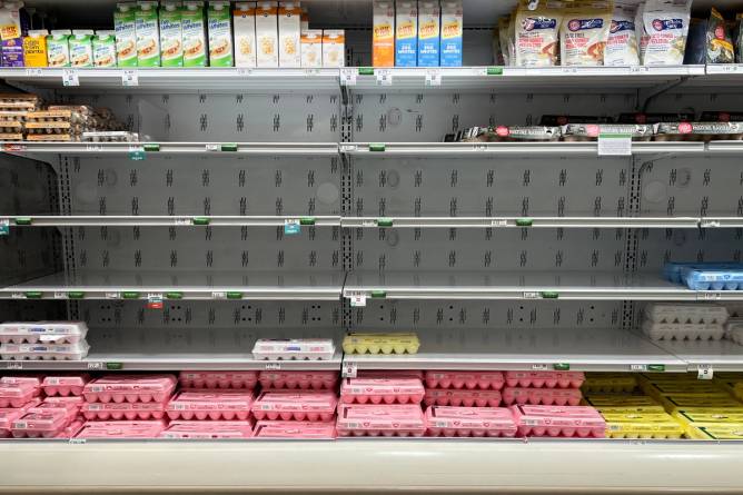 the egg section of a supermarket with bare shelves