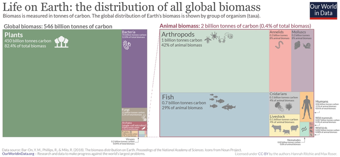 chart of biomass on the Earth