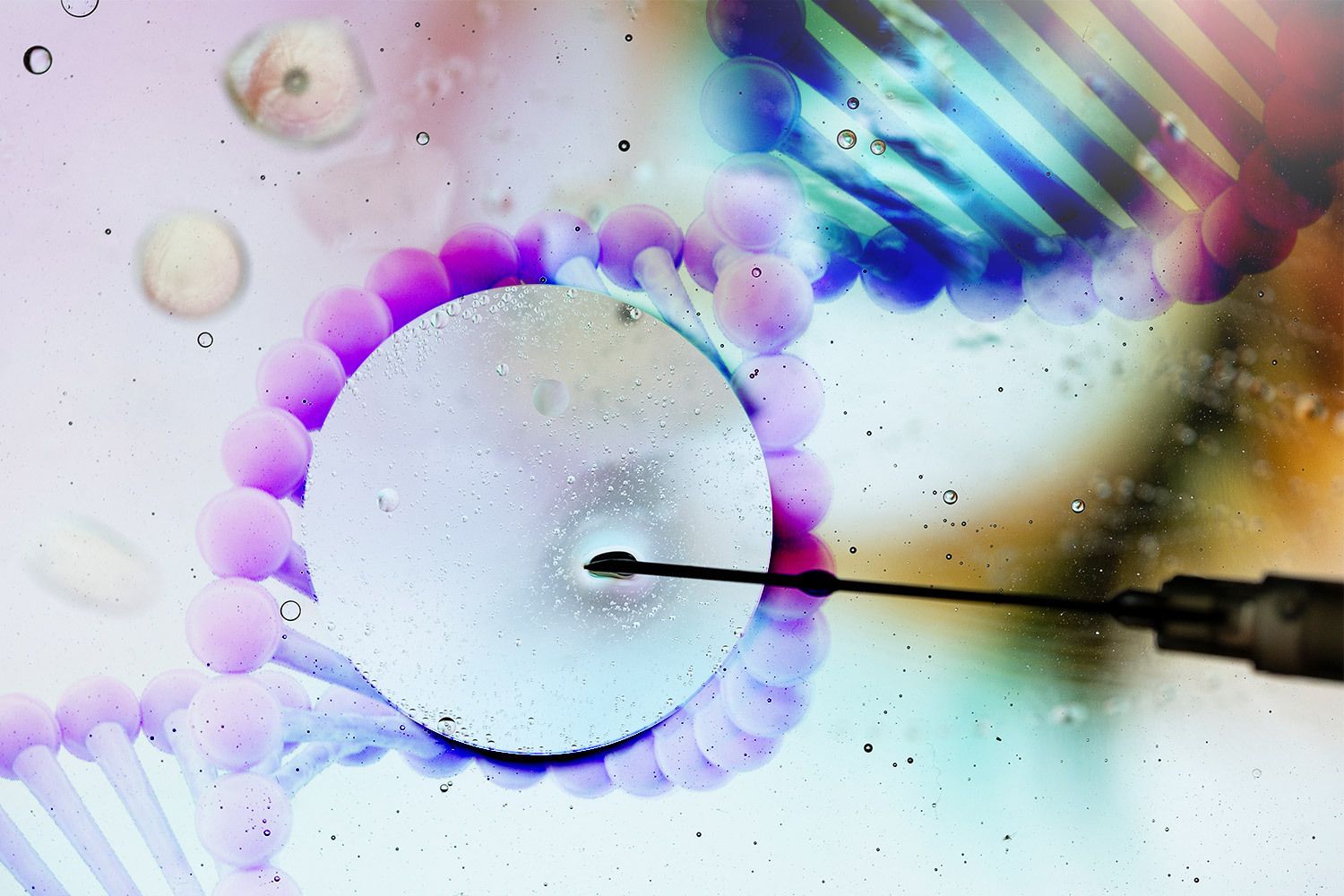CRISPR S IMPACT TODAY visual data 8