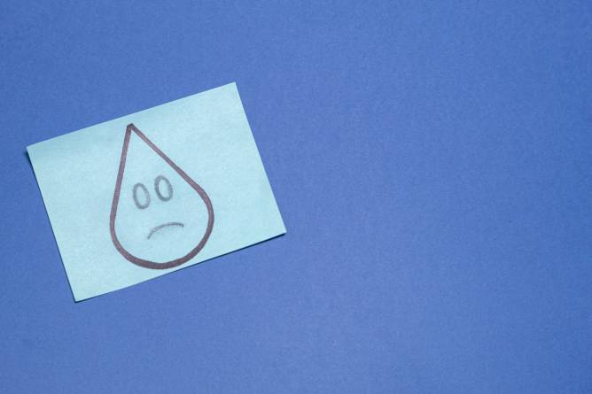 Global accounting sentiment down