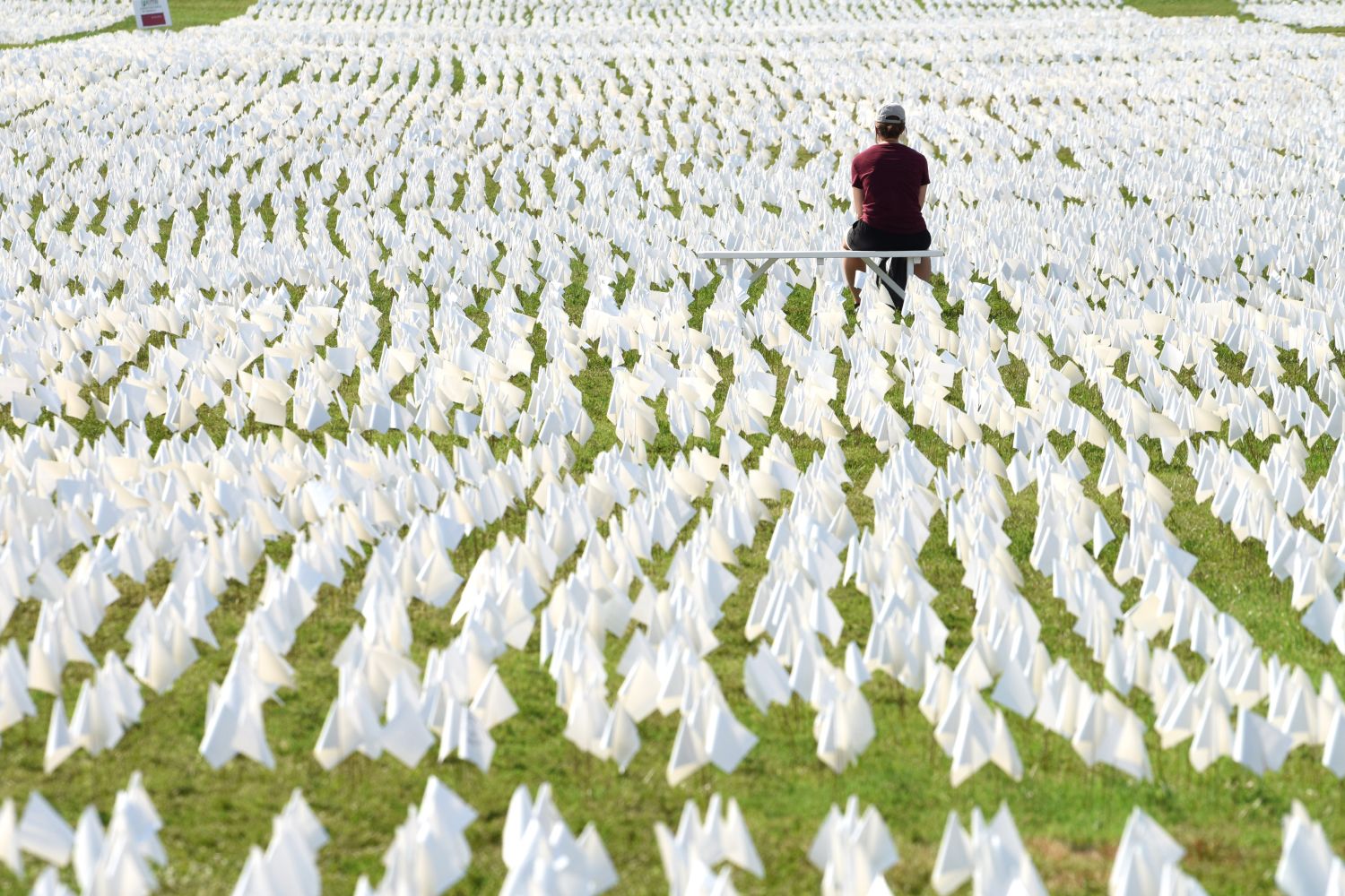 Over 660,000 white flags were installed here to honor Americans who have lost their lives to COVID-19 epidemic.