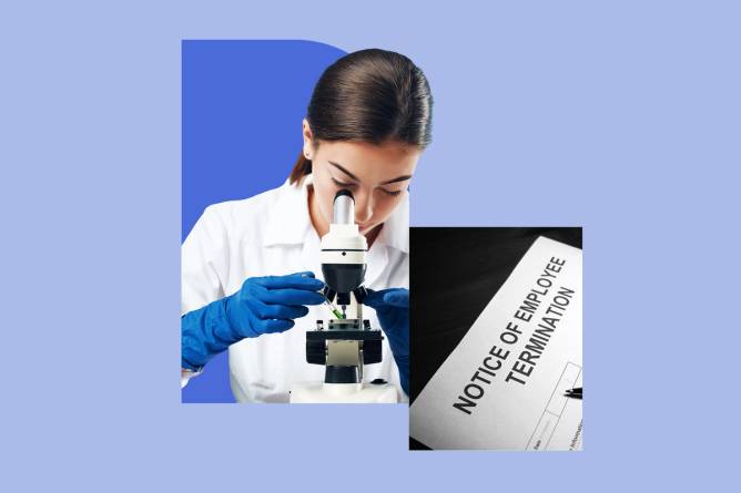 Woman looking through microscope on left, Notice of Employee Termination doc on right