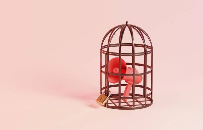 An illustration of a megaphone locked in a cage.