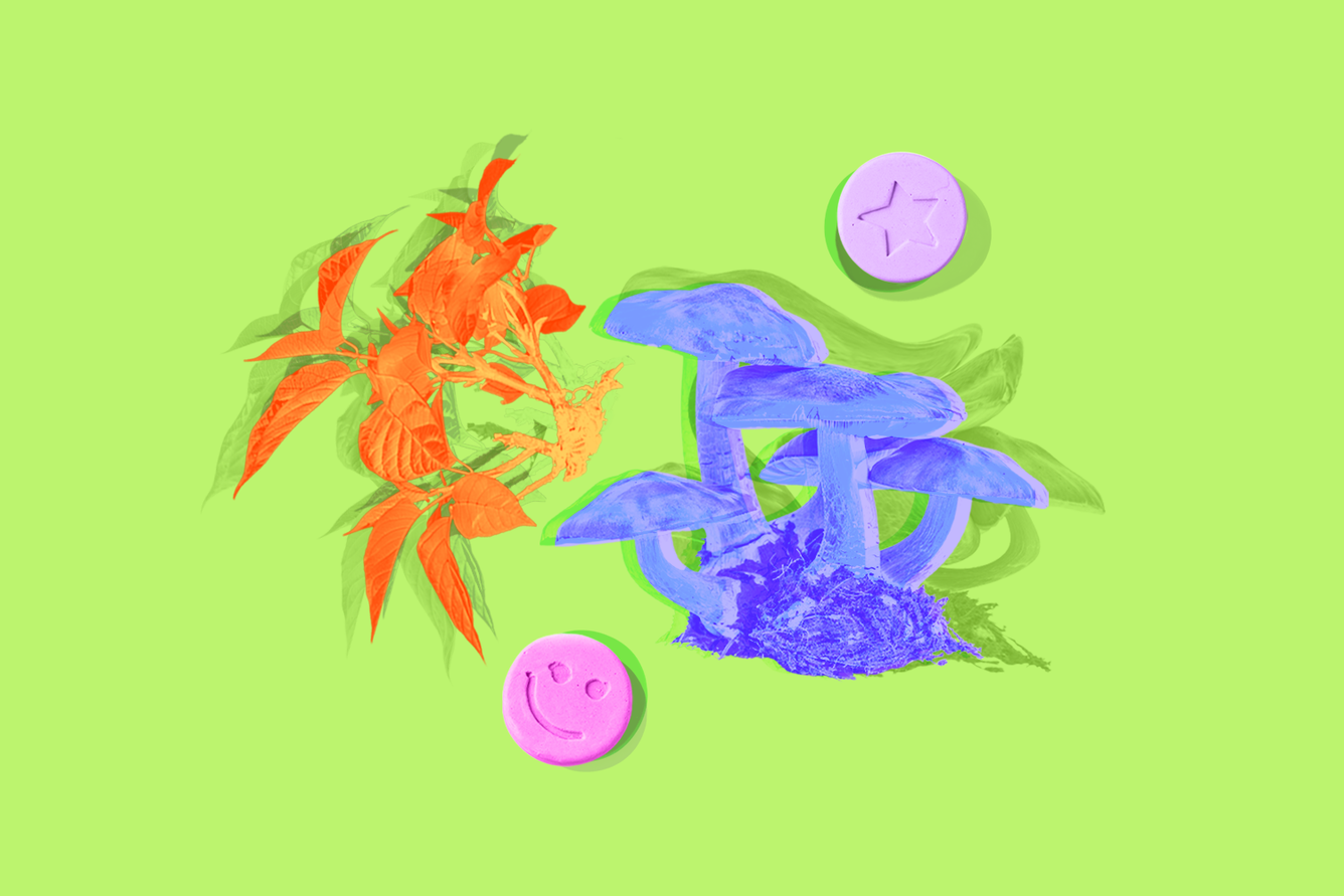 MDMA pills, an ayahuasca plant, and psilocybin “magic” mushrooms laying on a field of light green