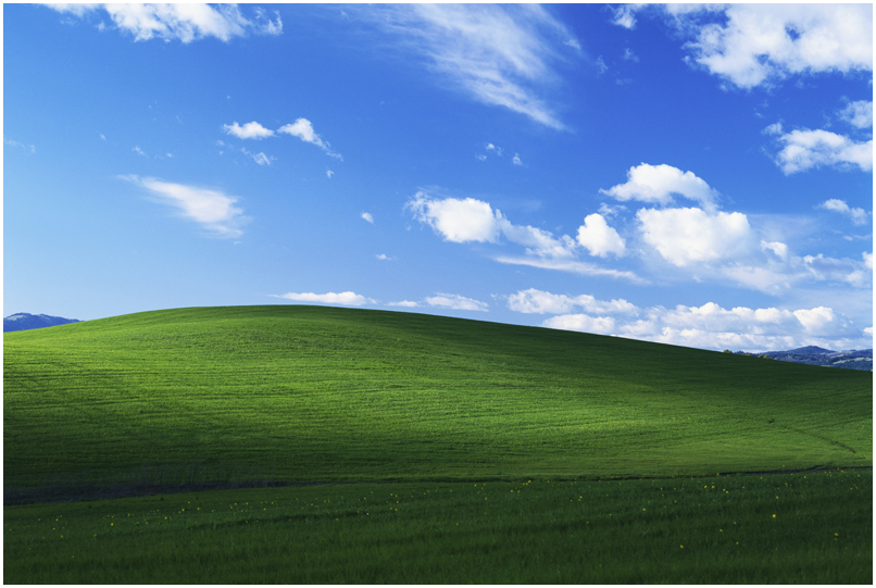 マイクロソフトが50で至福を感じている理由