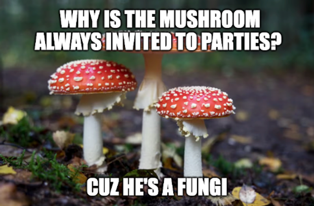 Mushroom joke about fungi