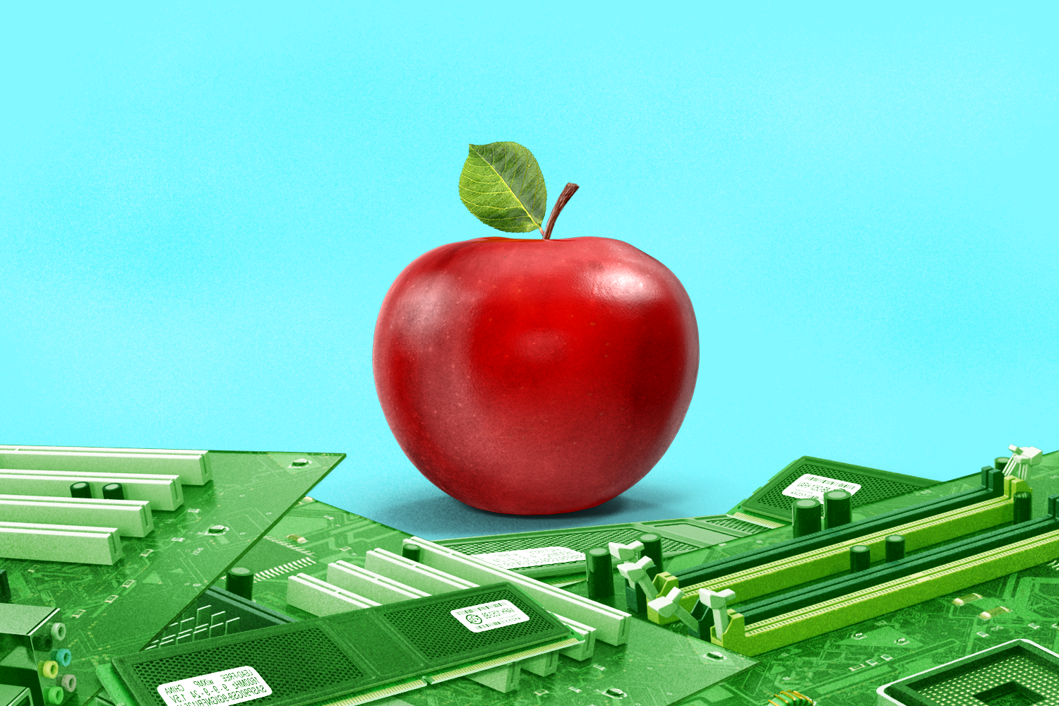 article cover