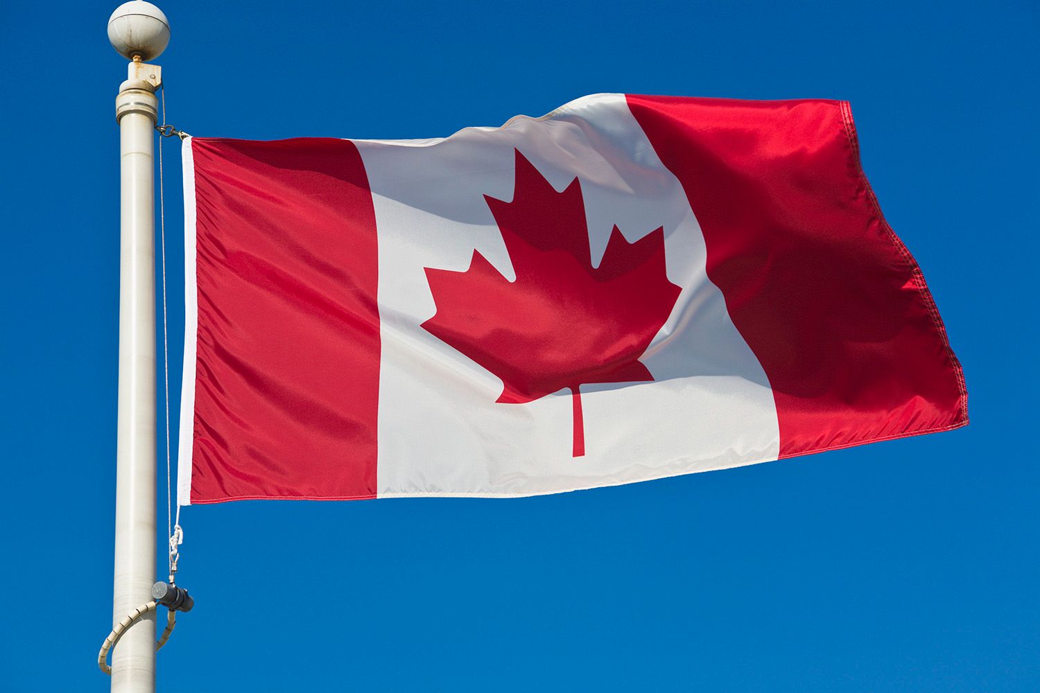 Canadian flag waves in a cloudless sky, red maple leaf on plane white fabric.