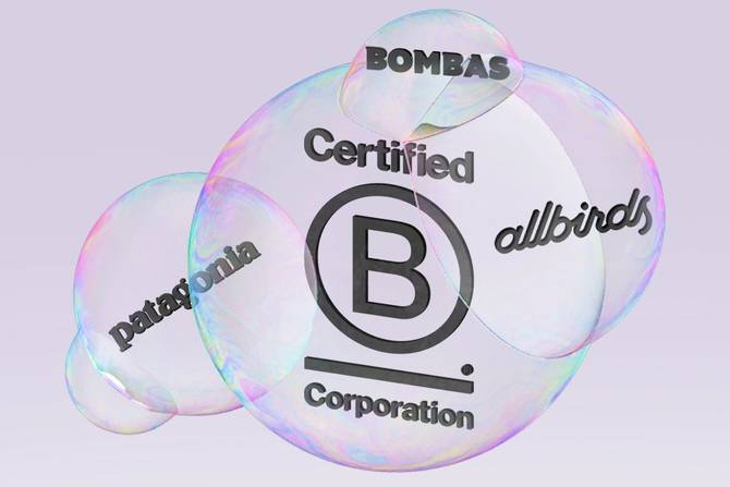 An image of bubbles with logos from Patagonia, Allbirds, and Bombas, all B Corp companies