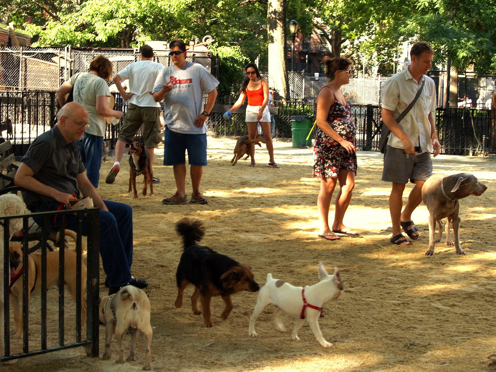 The Newest Fad in Luxury Pet Care: Private Dog Parks - High End Dog Parks With Luxury Pet Suites