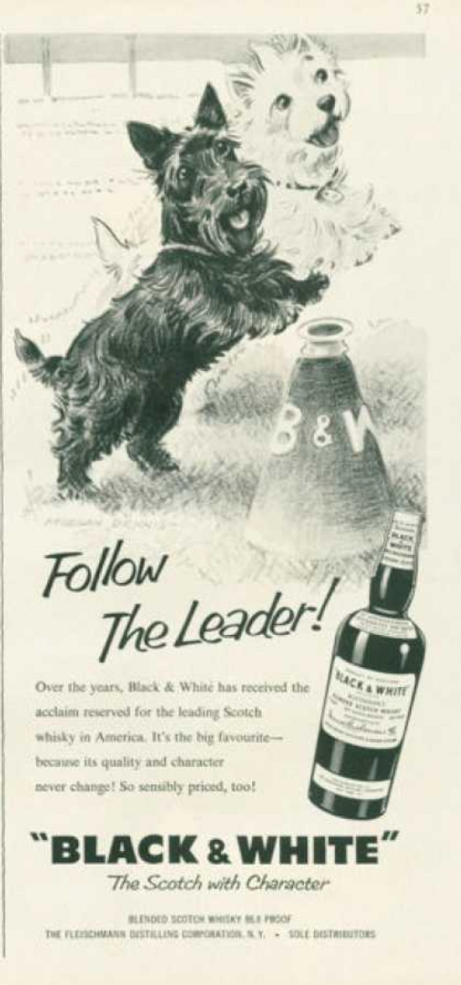 A vintage ad featuring two dogs from B&W Scotch whisky